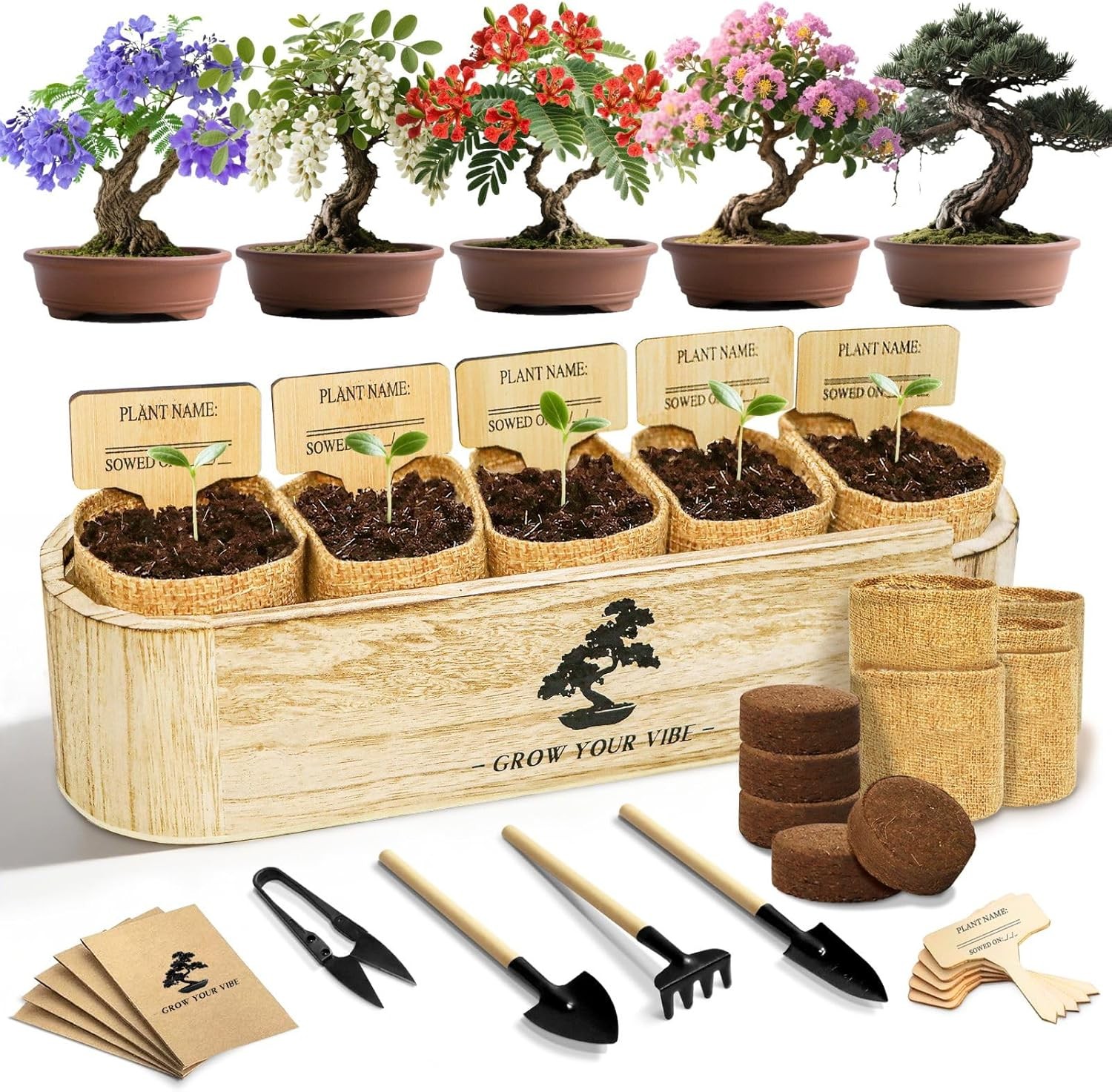 Bonsai Tree Kit for Beginners – Complete Indoor Gardening Set with 5 Seed Types