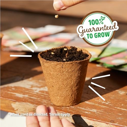 Heirloom Organic, Non-GMO & USA Grown Seeds, 30ct Herb, Heirloom Variety 30pk