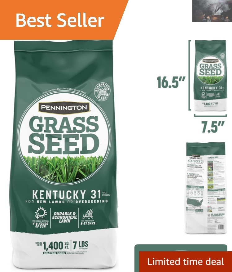 Quick-Germinating Kentucky 31 Tall Fescue Grass Seed – 1400 sq ft Coverage