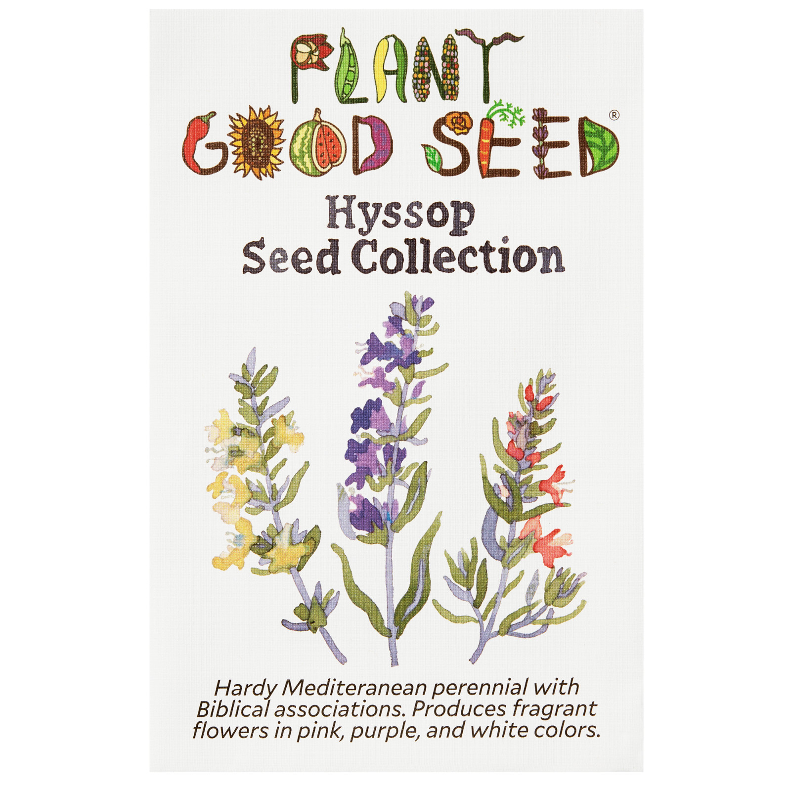 Hyssop Seed Collection-3 packets, Purple, White, Pink Flowers, Certified Organic