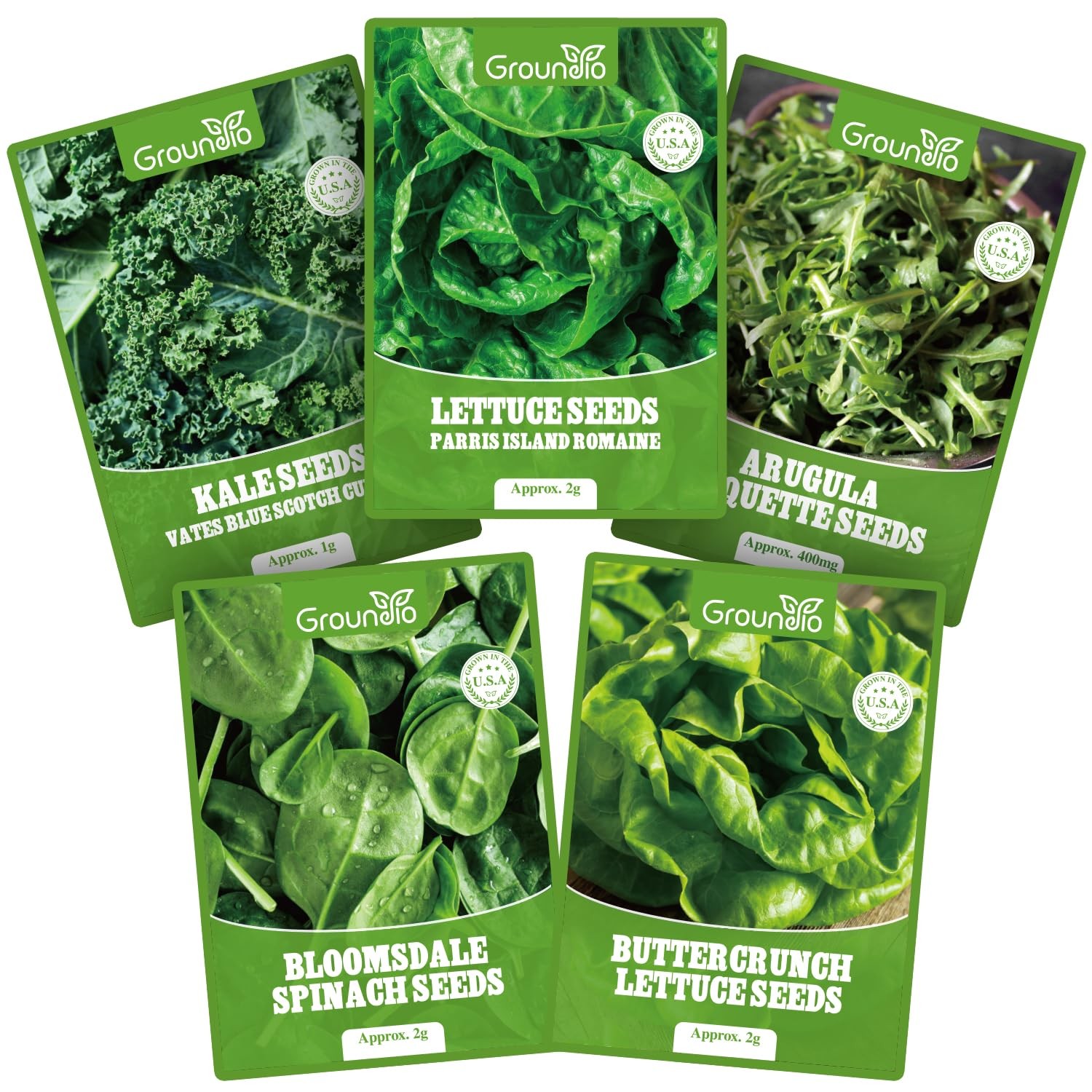Non-GMO Heirloom Lettuce Seeds – 5 Varieties for Outdoor, Indoor, Hydroponic