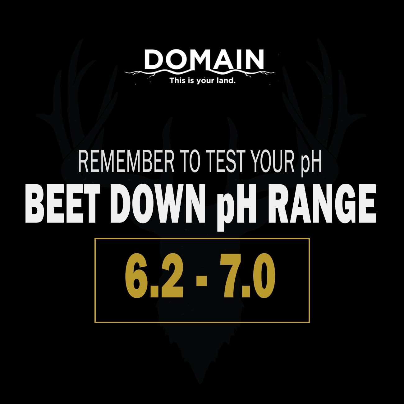 Outdoor Beet Down Food Plot Seed for Deer, 1/4 Acre, Nutrient-Rich Forage