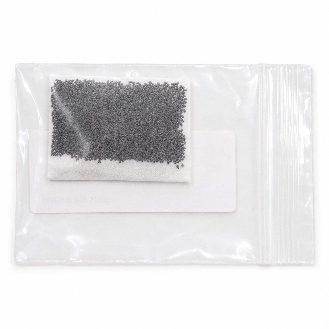 Mini Native Tall Hummingbird Seed Mix | Prairie Legacy Inc.