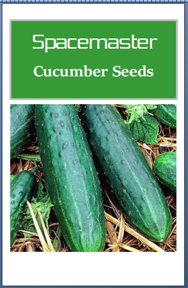 Spacemaster 80 Cucumber Seeds | NON-GMO | Heirloom | Fresh Garden Seeds