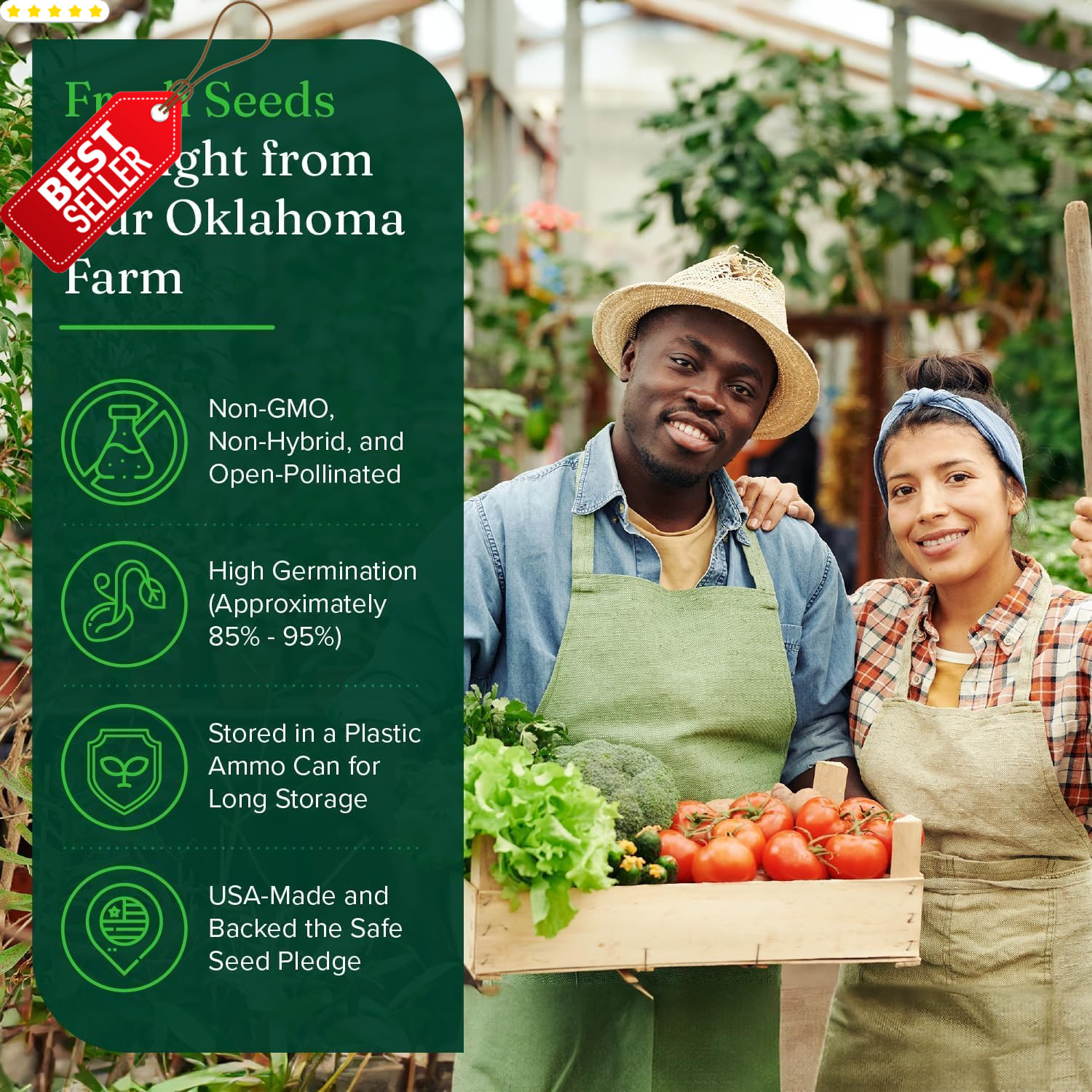 Heirloom Seeds 135 Variety Vegetable Fruit Herb Non-GMO Planting Kit US