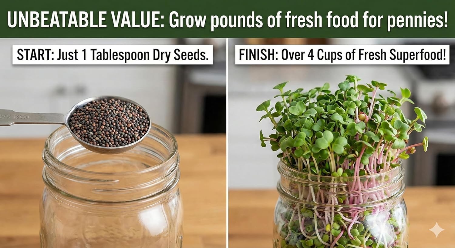 Ultra-Fast Germination Sprouting Seed Mix – Ready to Eat Microgreens in 5 Days