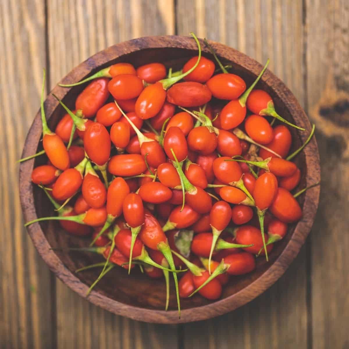 Goji Berry Tree Seeds | Lycium Wolfberry Chinese Fruit Seeds 2024 Free Shipping