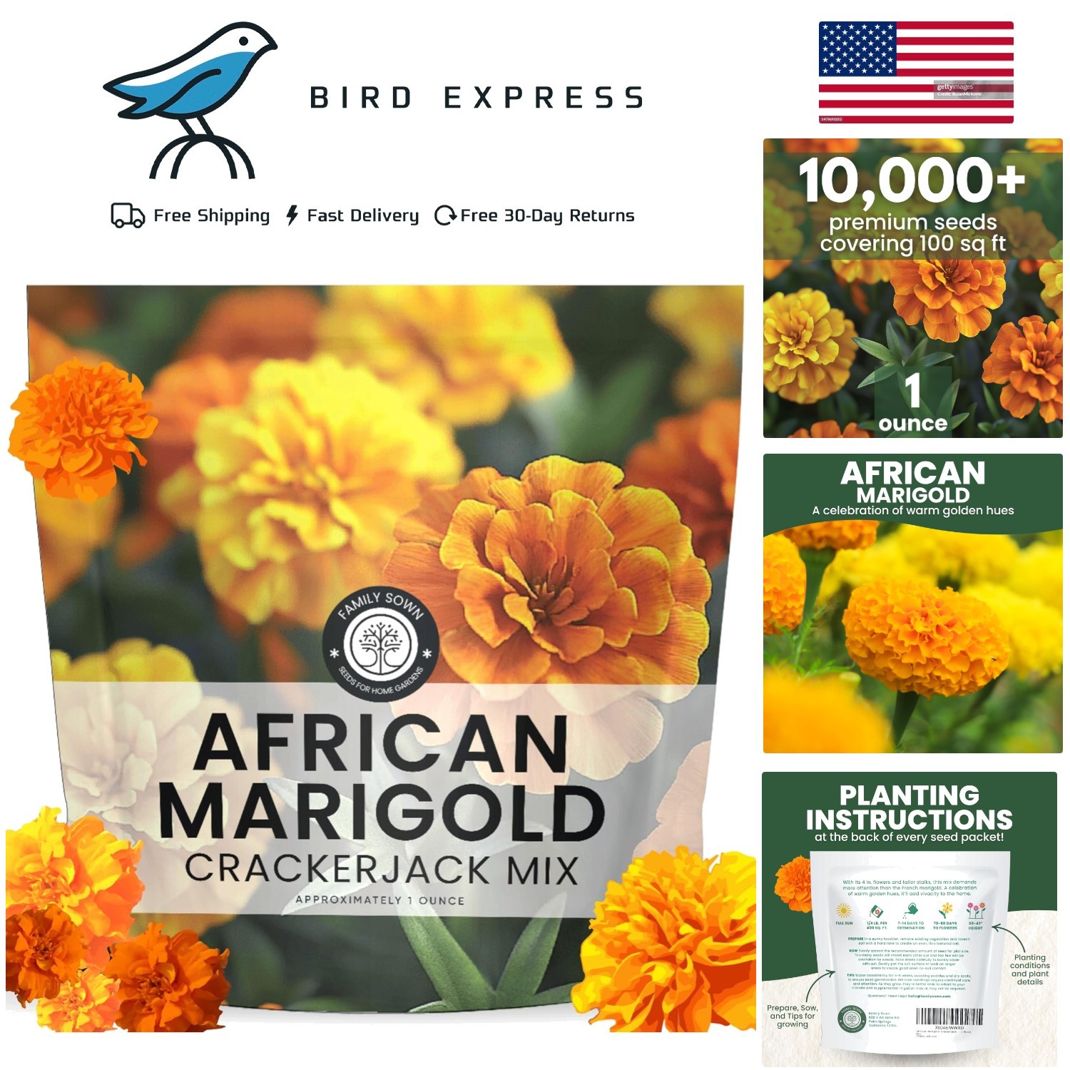 African Marigold Crackerjack Seeds 1 Ounce Pack 10,000 Flower Seeds for Planting