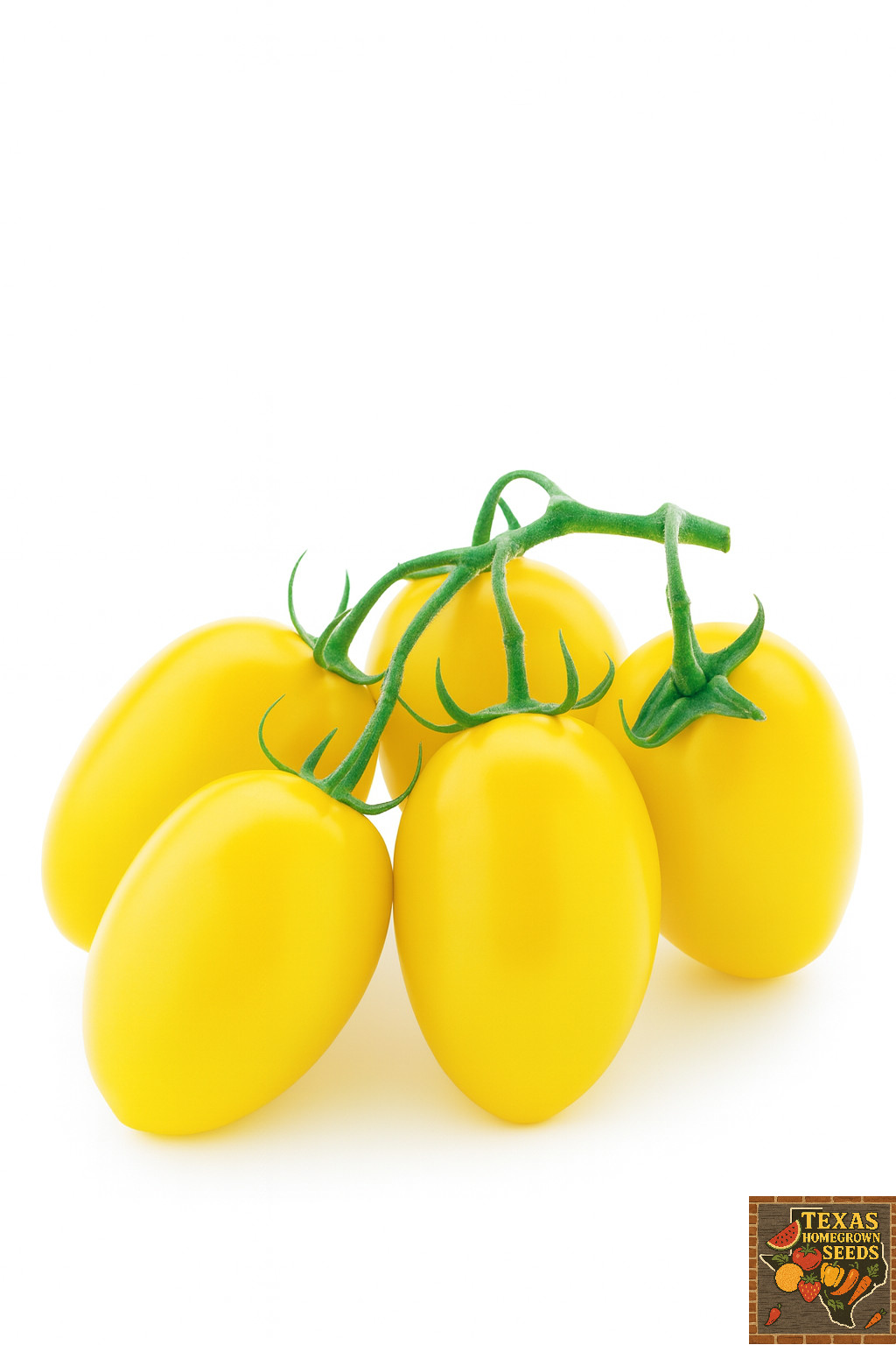 100 Heirloom Yellow Roma Tomato Seeds 4-6oz Golden Sweet LOW Acid Indeterminate