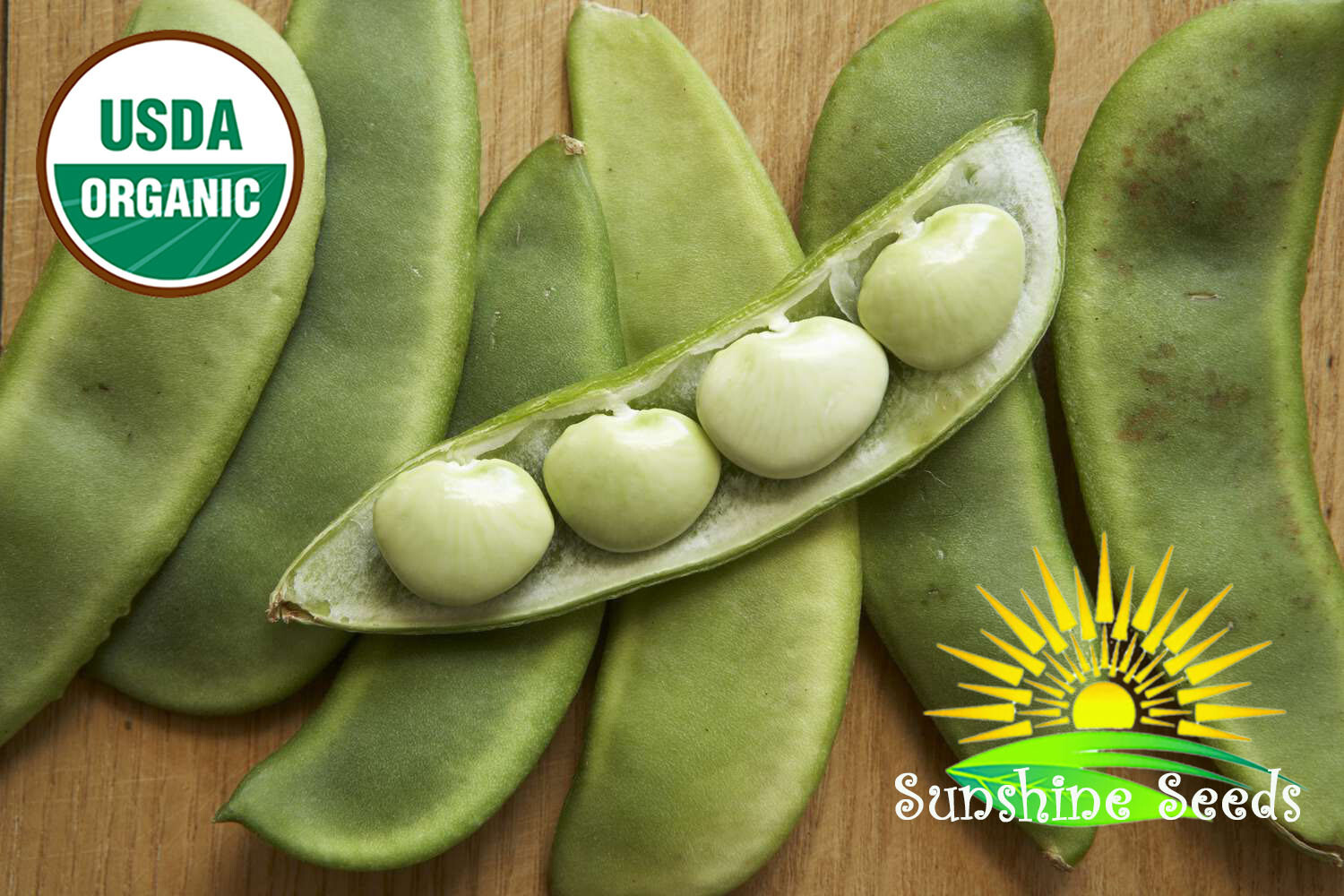 Thorogreen Baby Lima Bean Seeds (30) / ORGANIC / FLORIDA GROWN