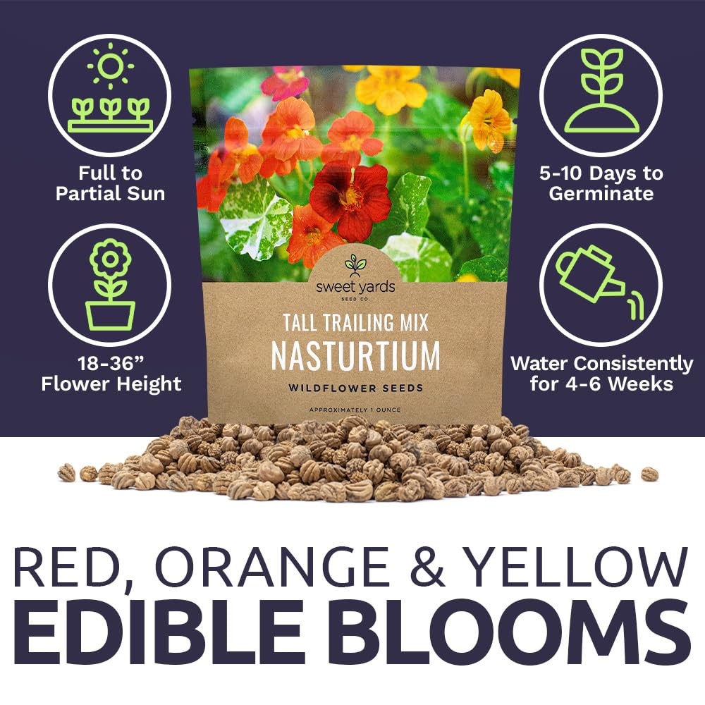 Nasturtium Seeds Mixed Colors Large Packet 200 Flower Seeds Tropaeolum Majus
