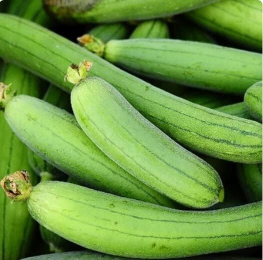 10+ Sponge dishcloth Gourd Seeds Luffa Gourd Smooth Loofah Chinese Sigua USA
