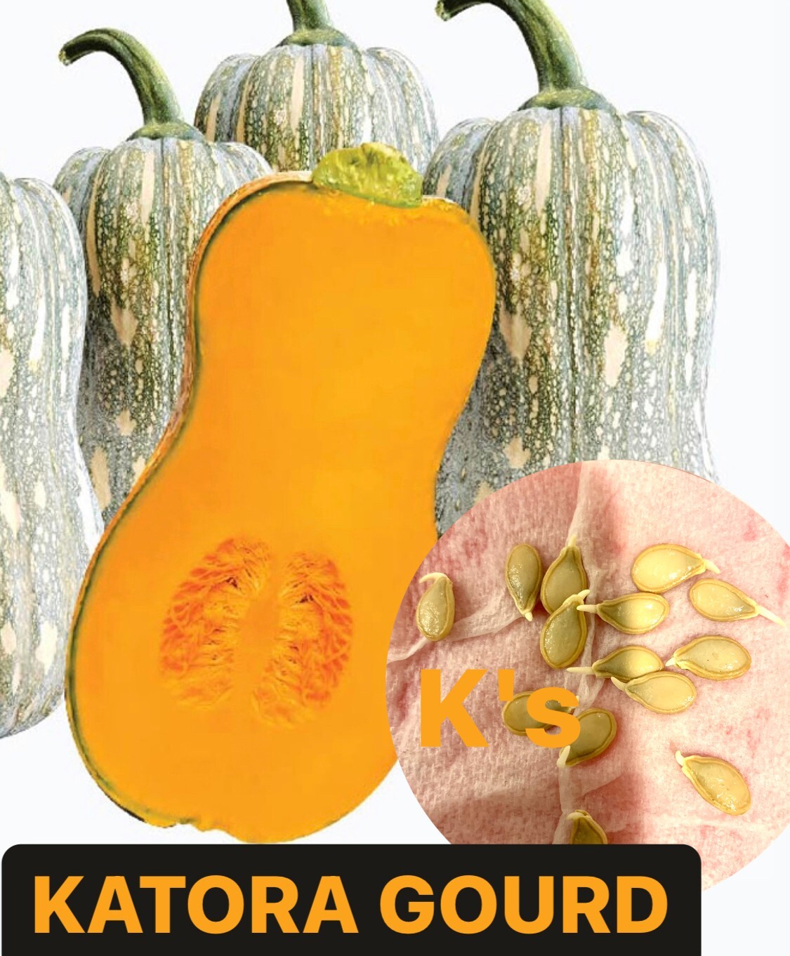 KATORA GOURD, BÍ ĐẬU KAROTA (10 PCS)