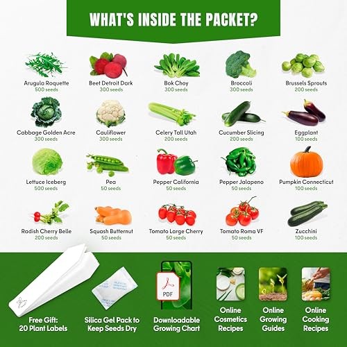 Vegetable Seeds Variety Pack – Tomato, Green, Red, Purple, Yellow, Multi