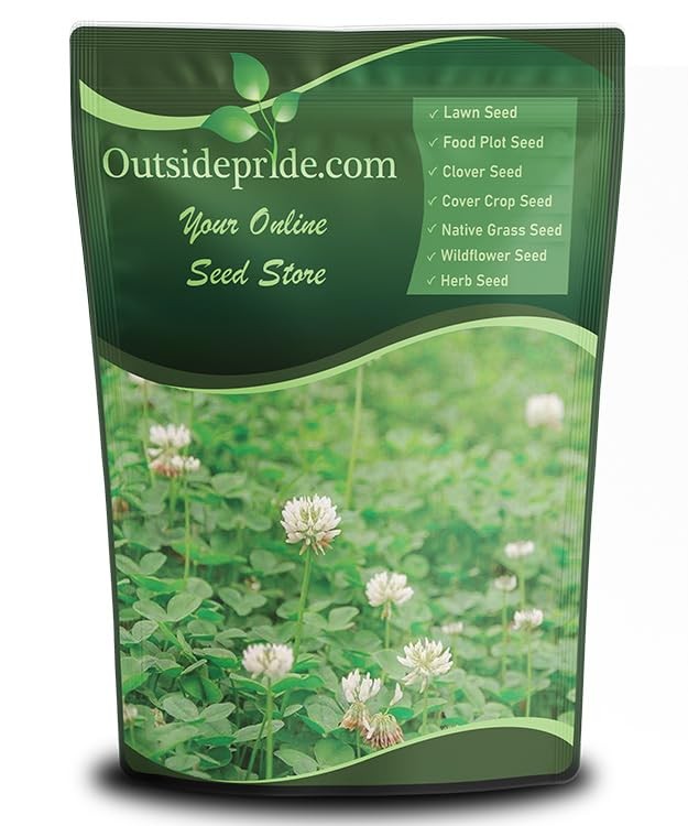 Perennial White Dutch Clover Seed 2 lbs – Lawn, Erosion, Food Plots, Zones 3-10