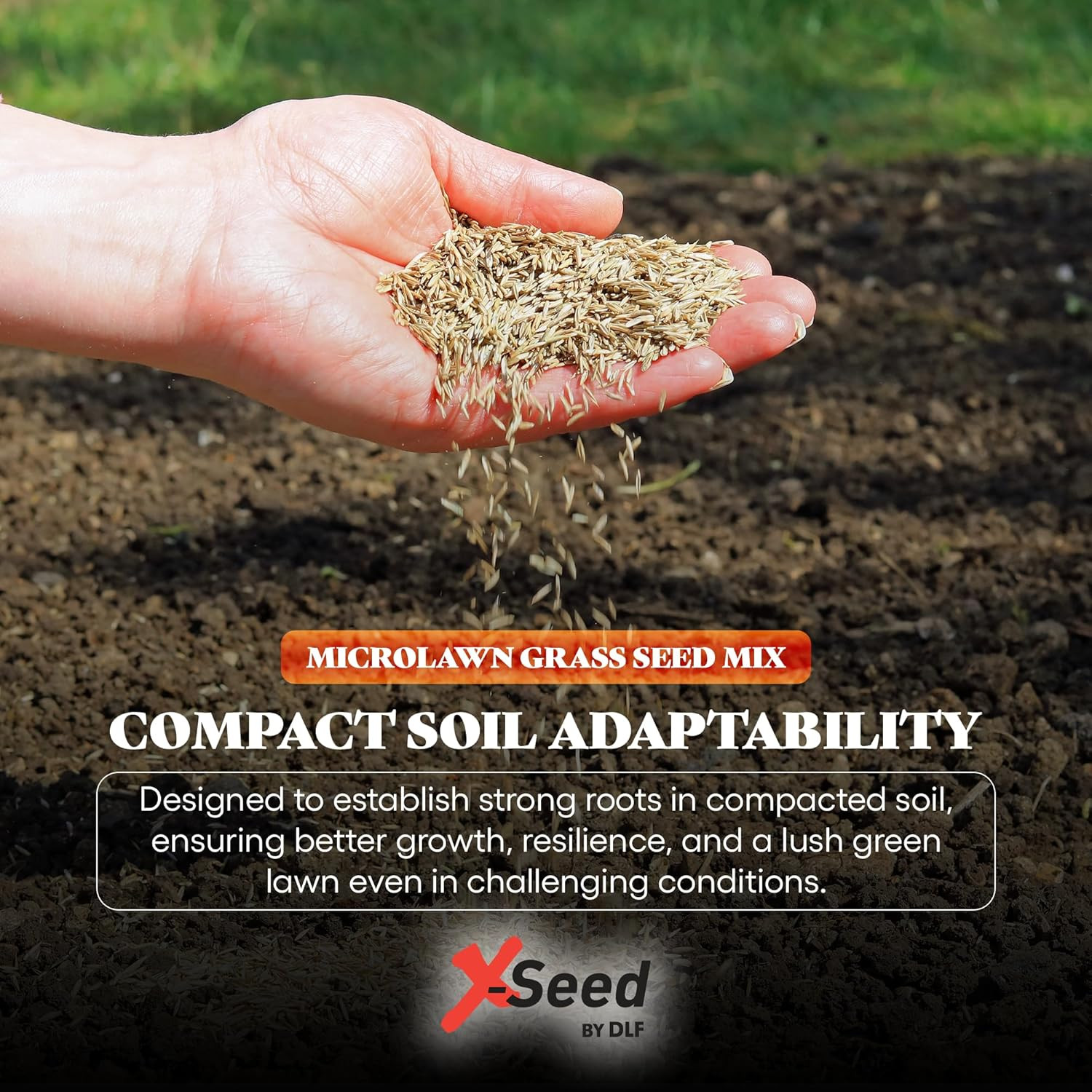 X-Seed Microlawn Grass Seed & Microclover Mix – Dense Self Feeding Lawn, Sun & S