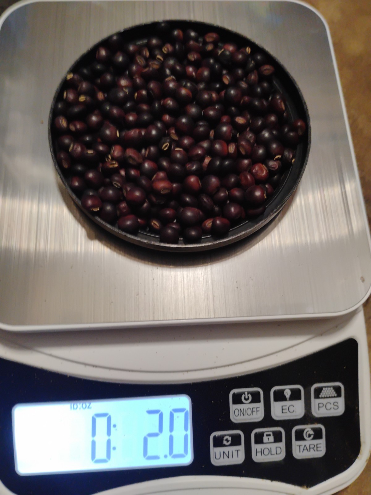 Pigeon Pea Seeds Cajanus Cajan (Red) 2oz Pack 200+ Seeds
