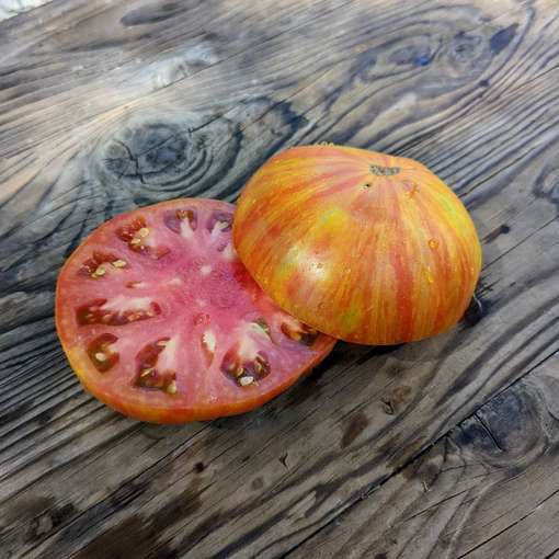 *NEW* Beefy Red Tomato Seeds, Certified Organic 10 Seeds , Free Shipping!