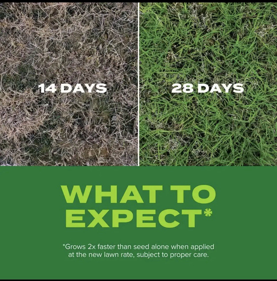 Scotts Bermuda⛳️RapidGrass🌱Seed🍀Fertilizer Blend FREE/FAST📭SAVEBuy 2+💰4 lb