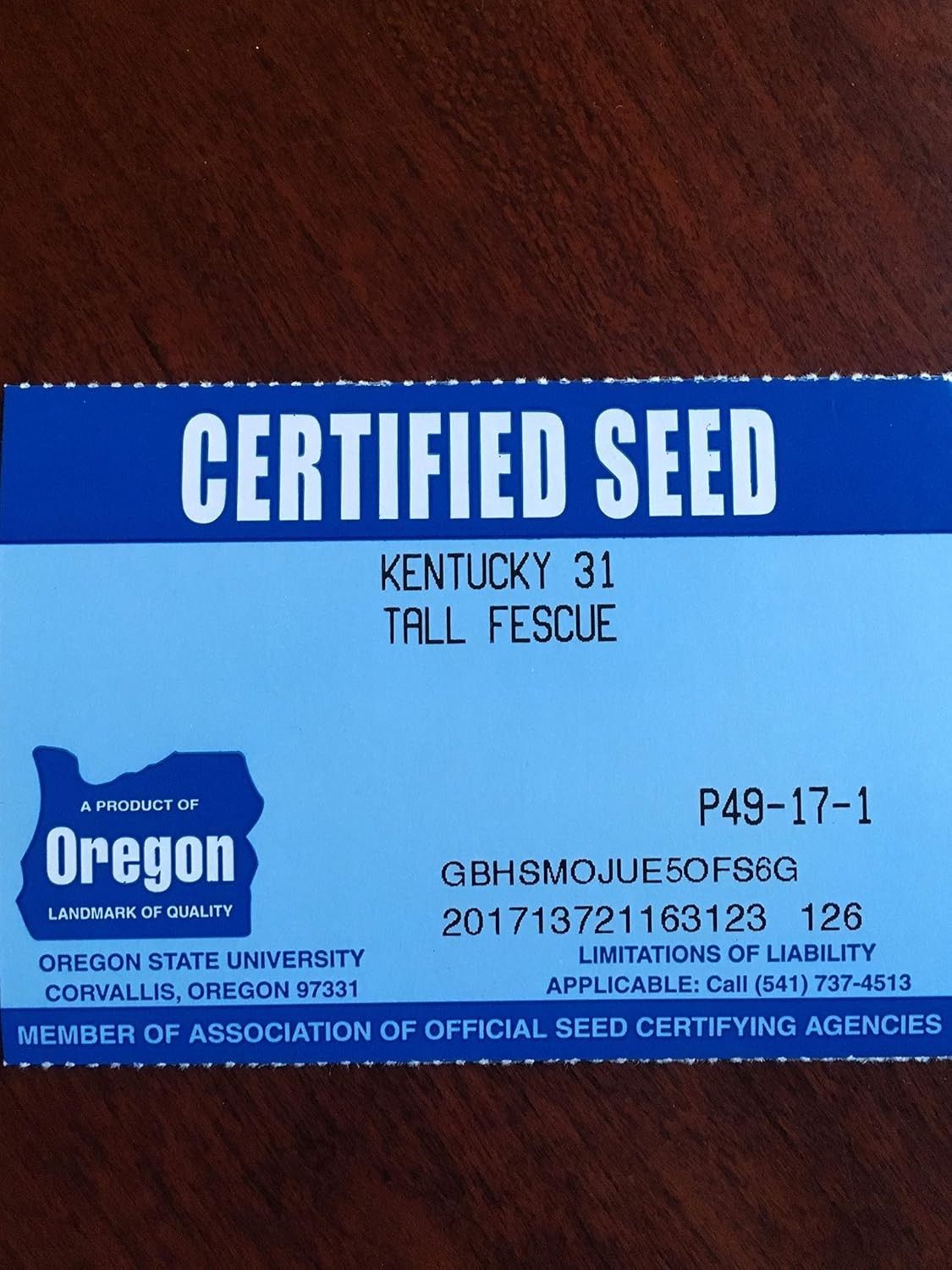 Kentucky 31 Tall Fescue Grass Seed 10lbs – Durable, GMO Free & State Certified