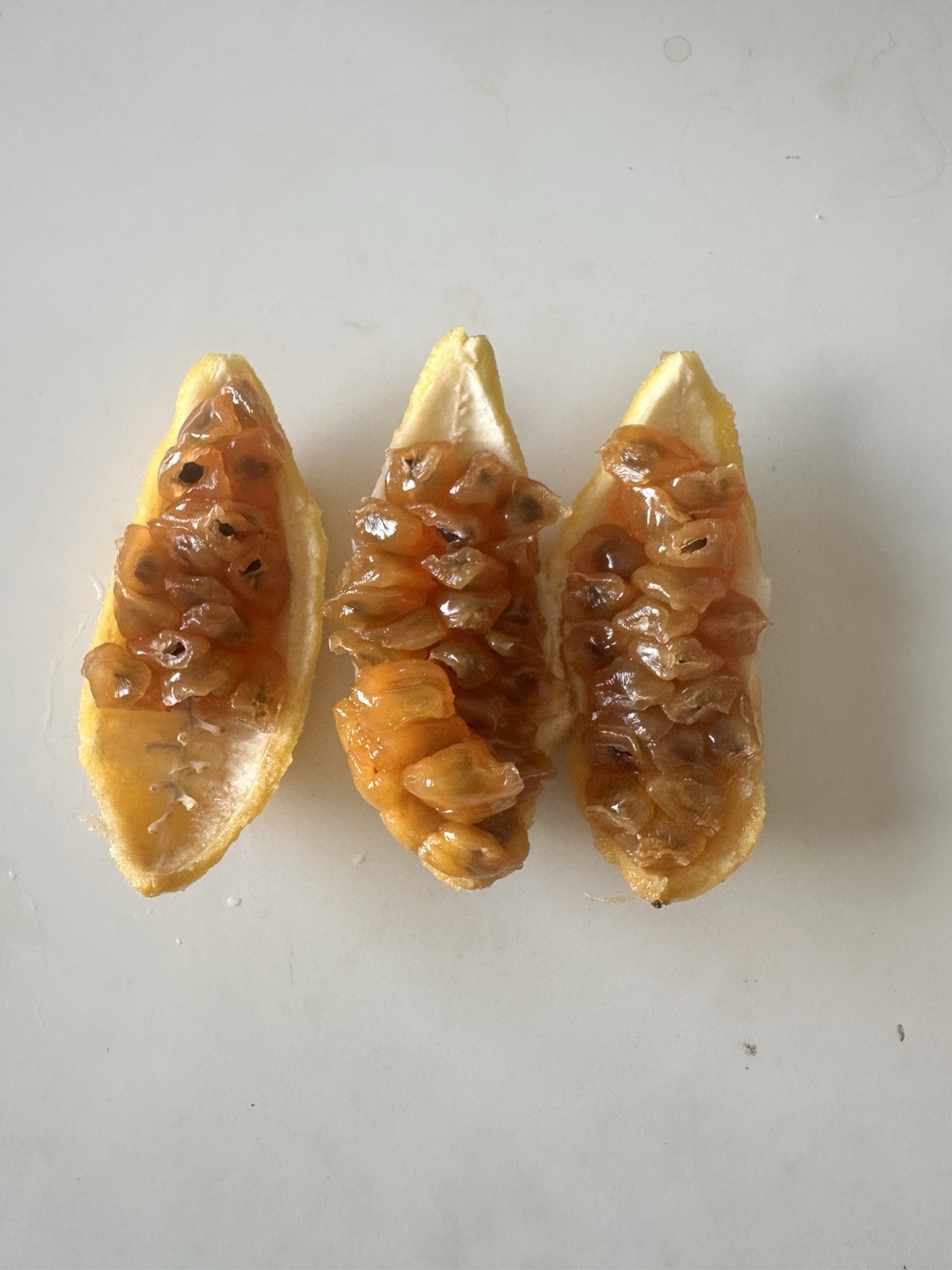 Banana Passion Fruit Seeds