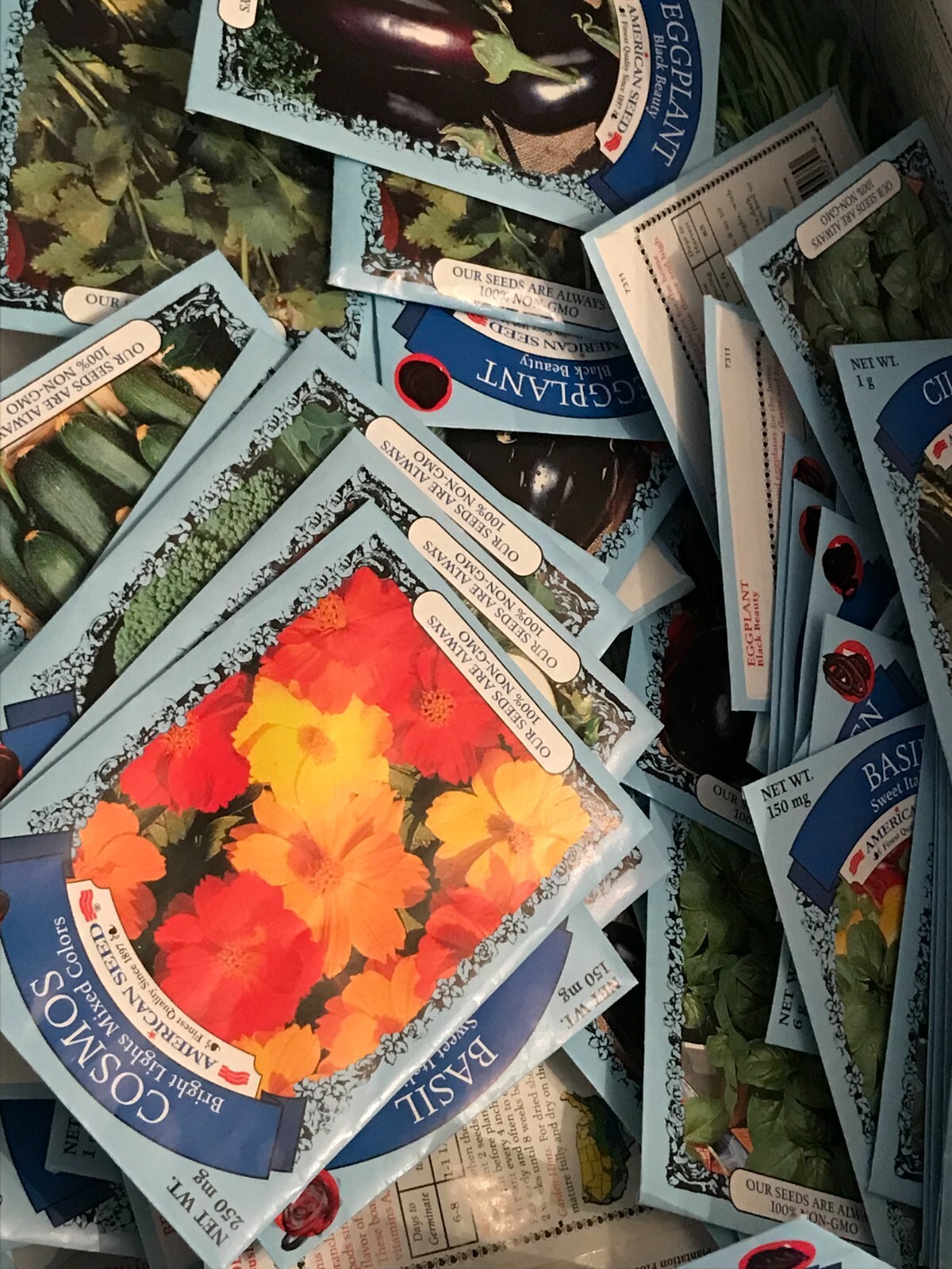 American Seeds | Packed 22 & beyond | Vegetable Seeds | Single Pack Fast ship