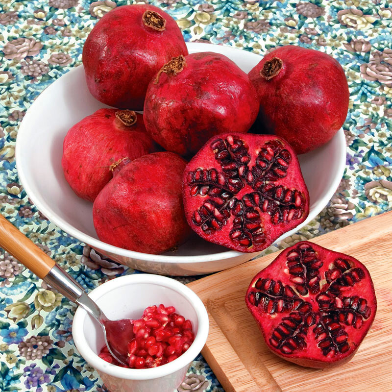 20 DWARF Pomegranate Tree Seeds (Punica granatum) Nana Garden Fruit House Plant