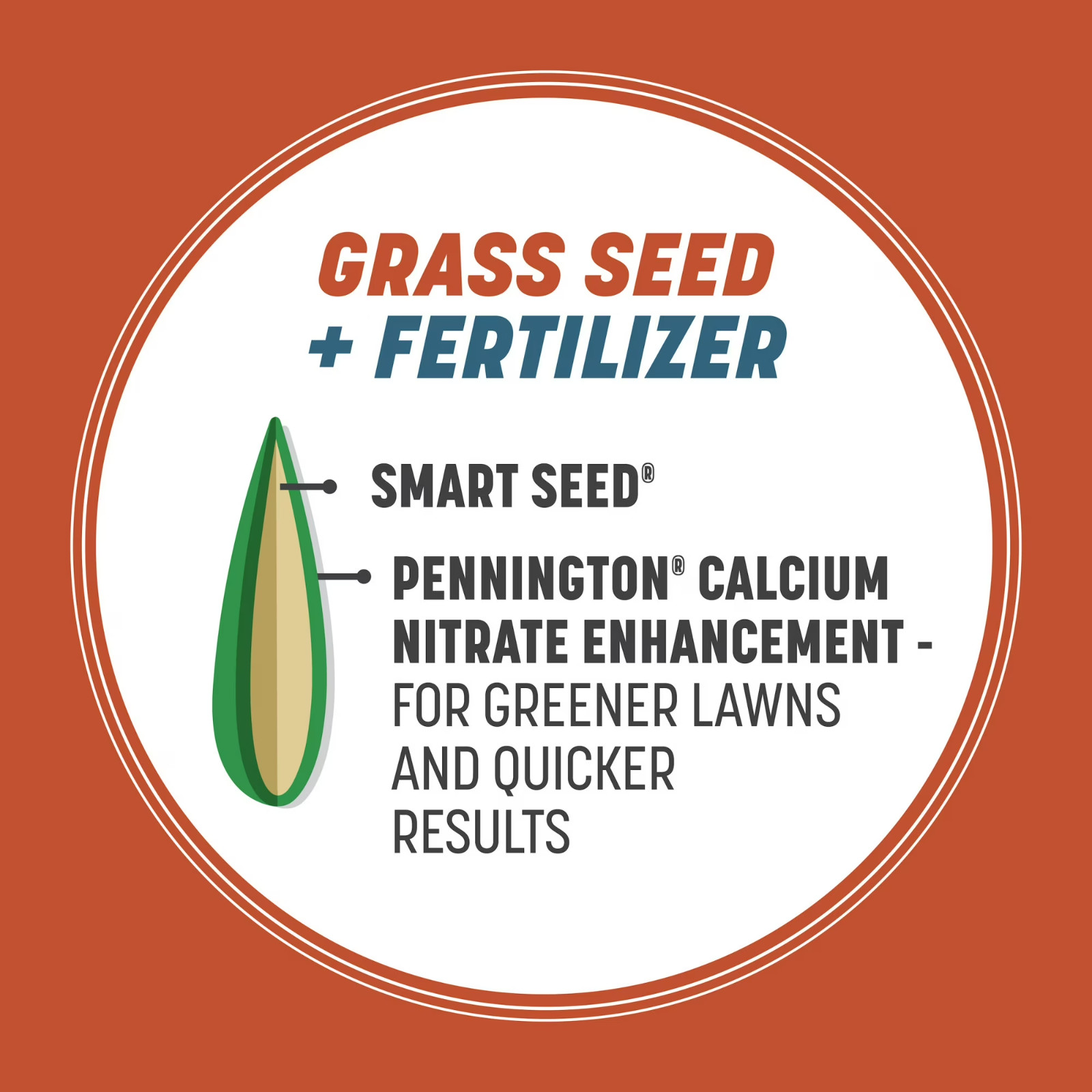 (3 Pack) Pennington Smart Seed Texas Bermuda Grass Seed 1.75 lb Full Sun Lawn