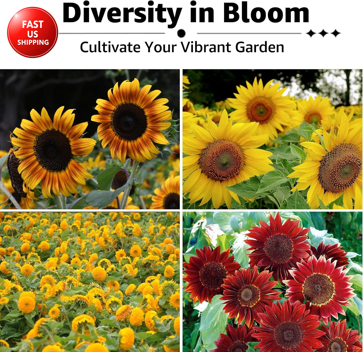 15+ Varieties 5000+ Sunflower Seeds for Planting, 4 Oz Heirloom Non-Gmo Sunflowe