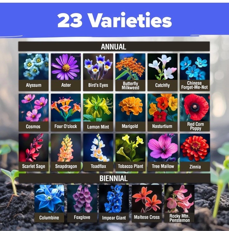 Bulk Non-GMO Wildflower Seeds – 134,000+ Native Seeds for Butterfly Gardens