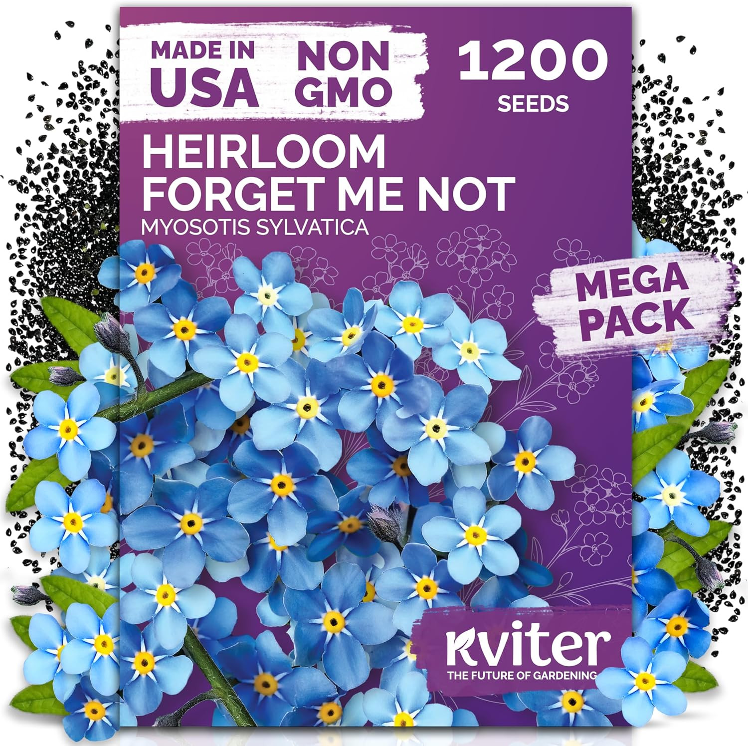 1200 Forget Me Not (Myosotis Sylvatica) Seeds – Charming Blue Spring Flowers for