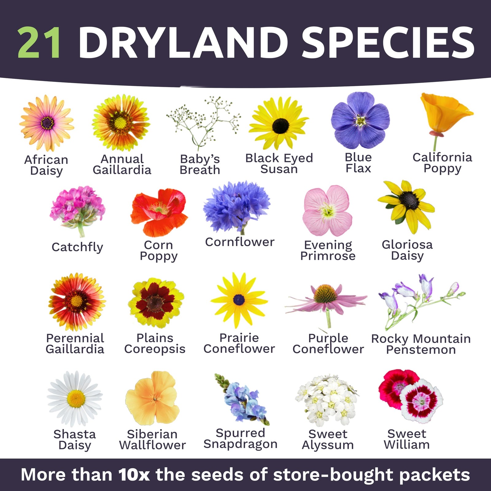 Drought Tolerant Wildflowers Mix – Bulk 1 Pound Bag – Over 120,000 Open Polli…