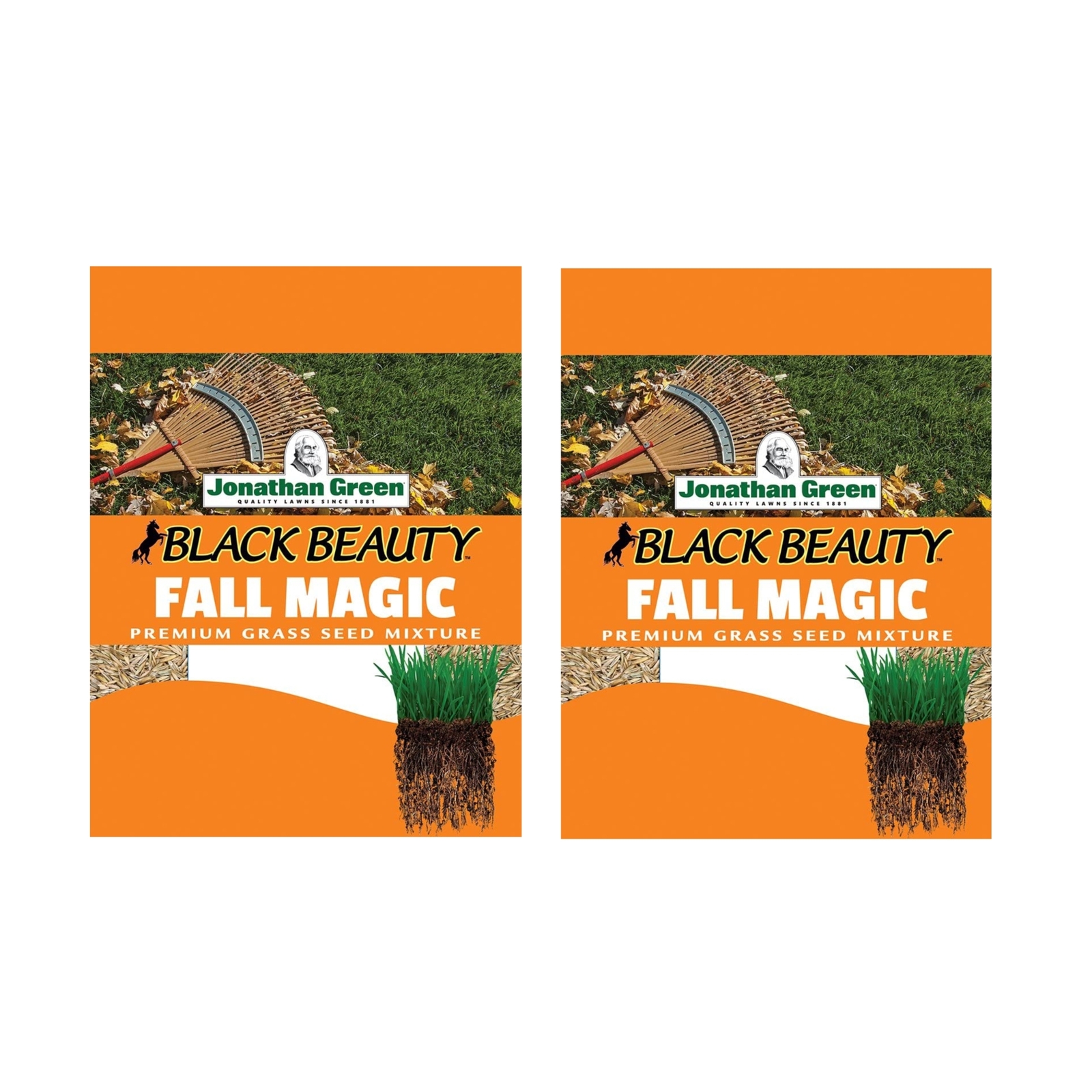 Jonathan Green Black Beauty Fall Magic Grass Seed, 3 lb (Pack of 1)