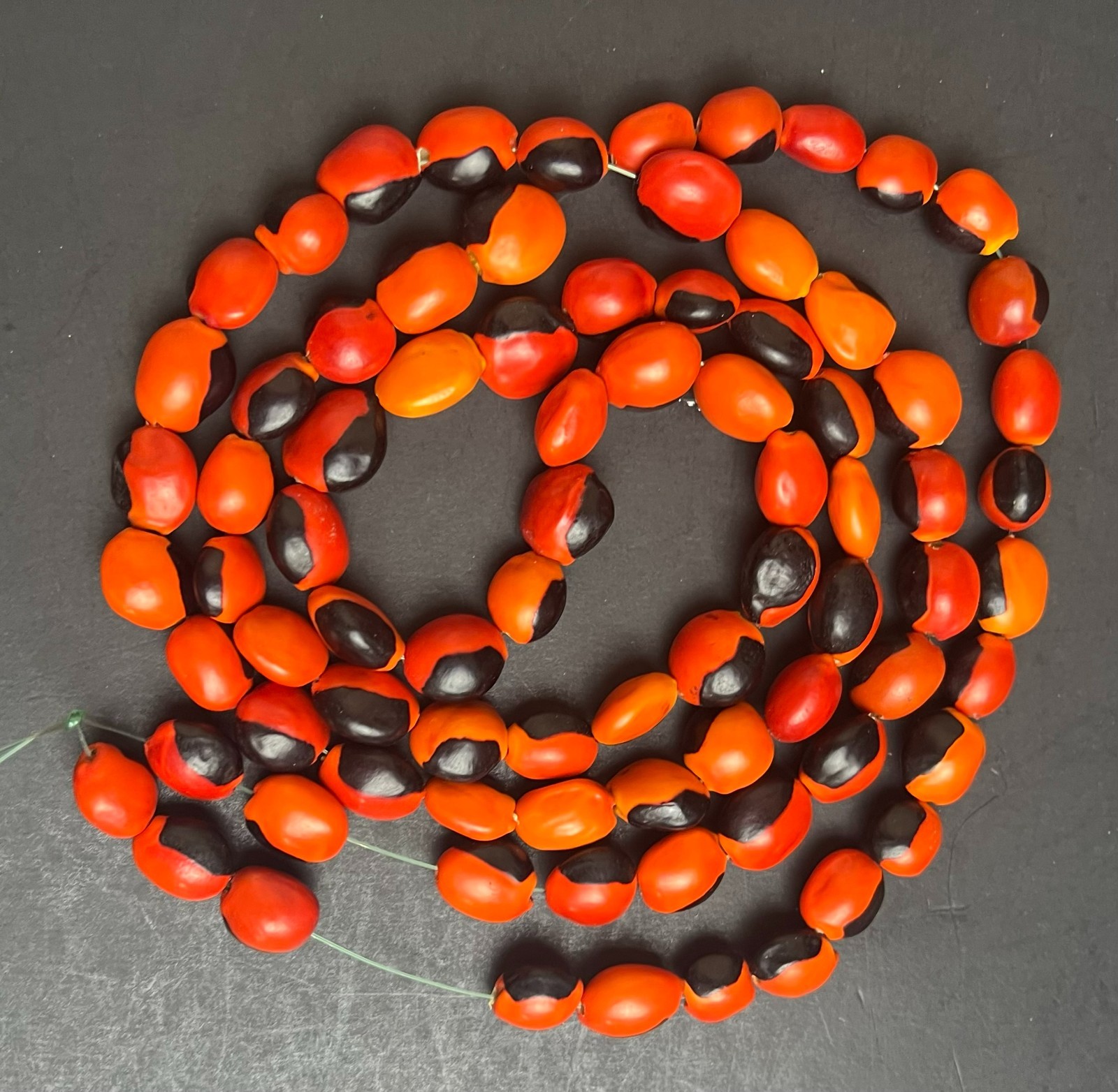 Lot of 100 New Male Huayruro Seeds Red and Black Drilled 1 cm x 1 cm