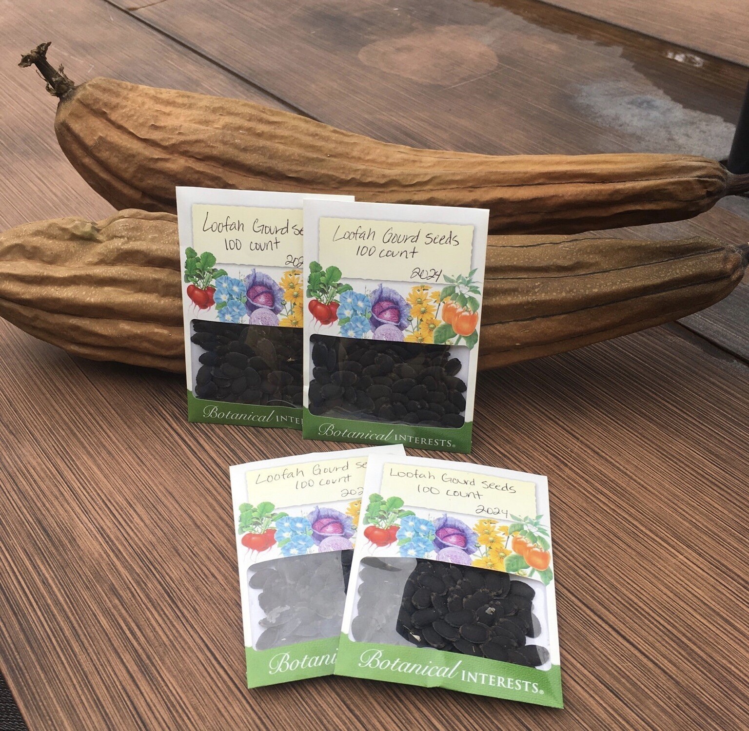 100 Count Loofah Gourd Seeds Gardening Vegetable Seeds *Plain brown seed packet*