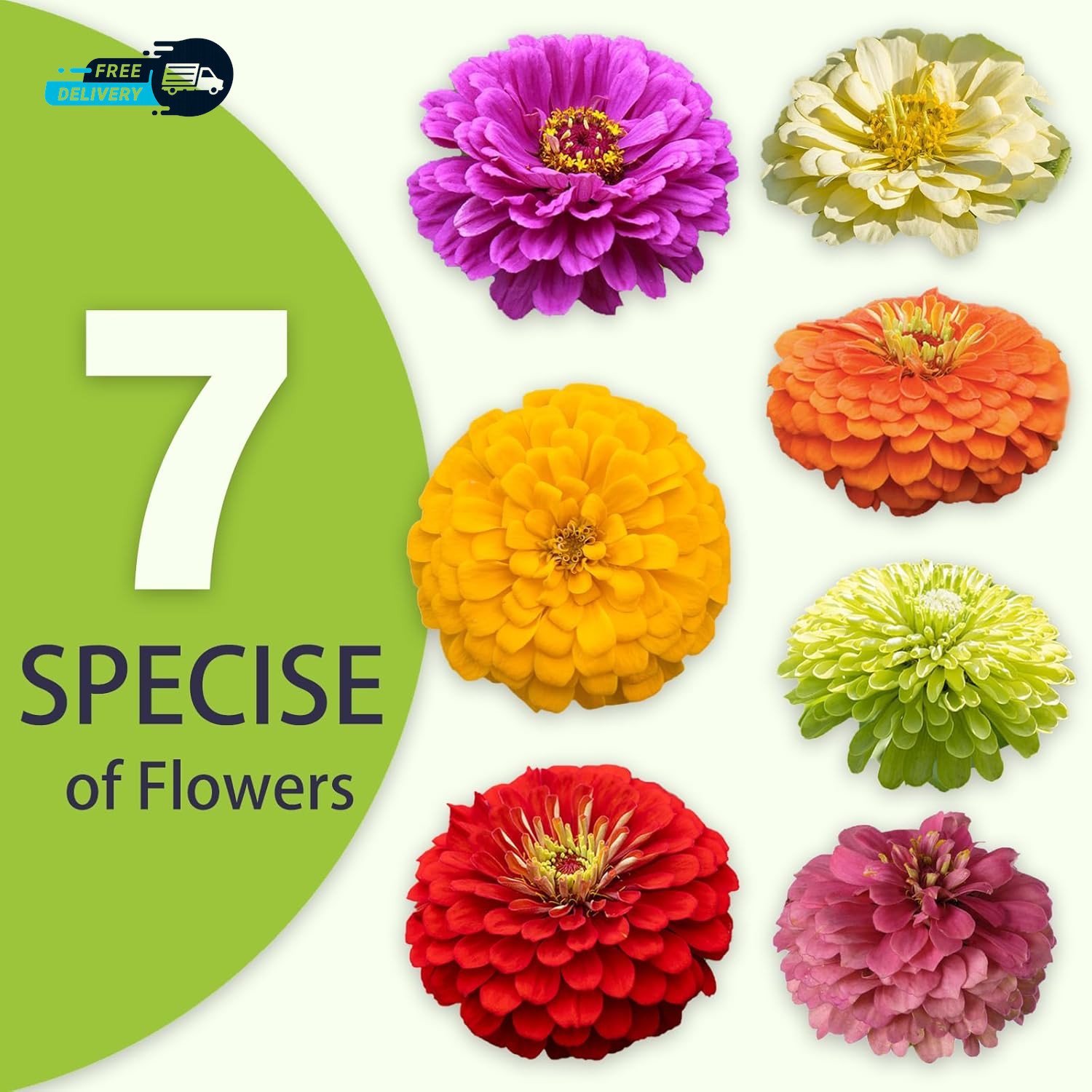 Zinnia Seeds Bulk 5000+ Outdoor Flower for Planting Giant Zinnia Seeds for 2026