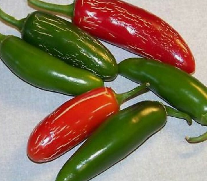 20 + pepper, JALAPENO HOT PEPPER seeds! Usa seller