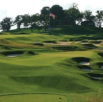 Grass Seed Creeping Bent 5 lb Penncross Golf Course Grade Outsidepride PC2.0