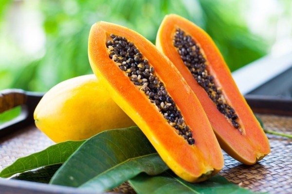 45 SEEDS ORGANIC VEGETABLE EXOTIC TROPICAL FRUIT CARICA PAPAYA GARDEN