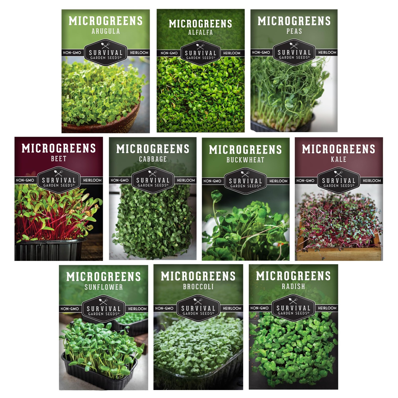 Microgreen Seeds Variety Pack – 10 Heirloom Types for Indoor Sprouting