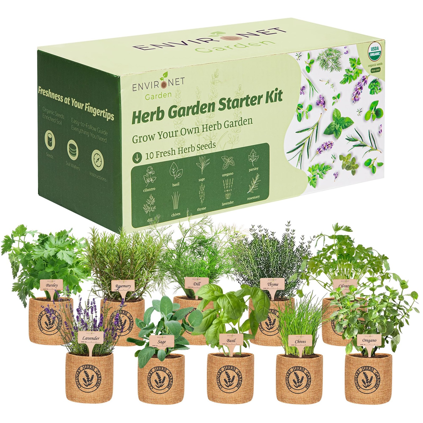Indoor Herb Garden Kit with Organic Seeds and Burlap Pots for Easy Growing