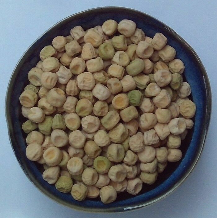 THOMAS LAXTON ENGLISH GARDEN PEA (Pisum sativum) – 30 SEEDS – Non-GMO