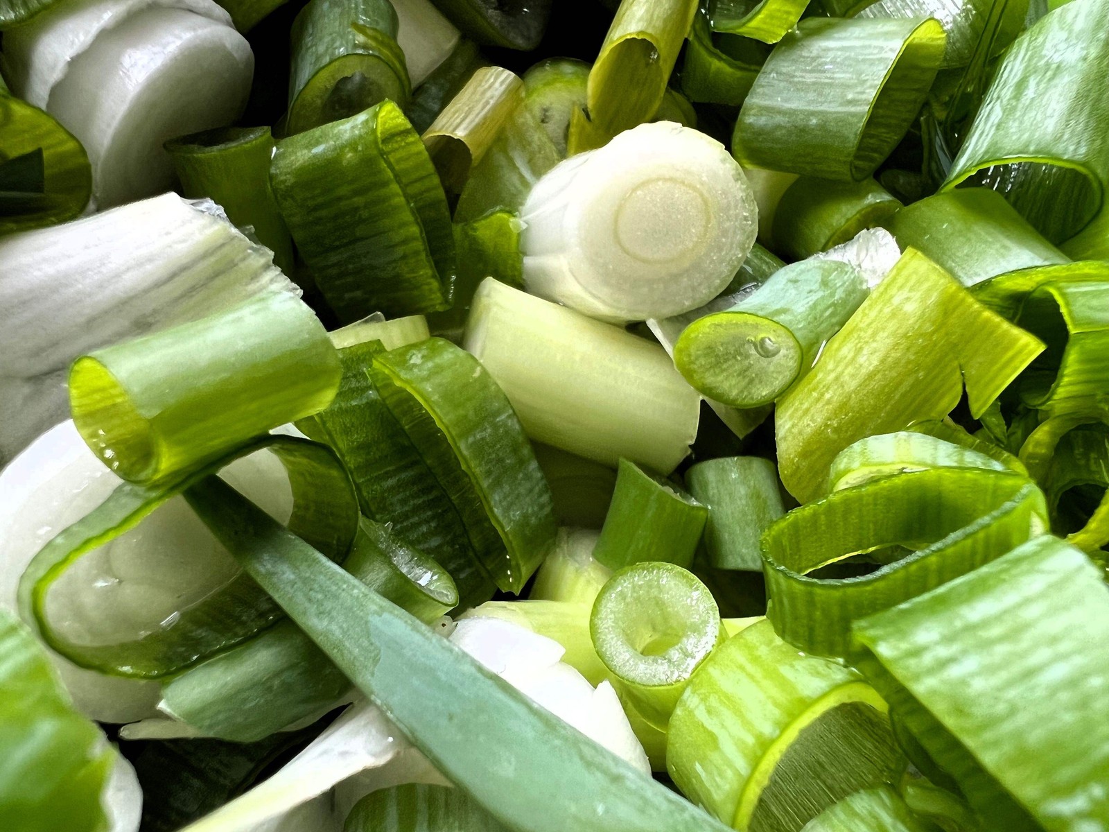 300 Evergreen NEBUKA BUNCHING ONION Japanese Allium Fistulosum Vegetable Seeds
