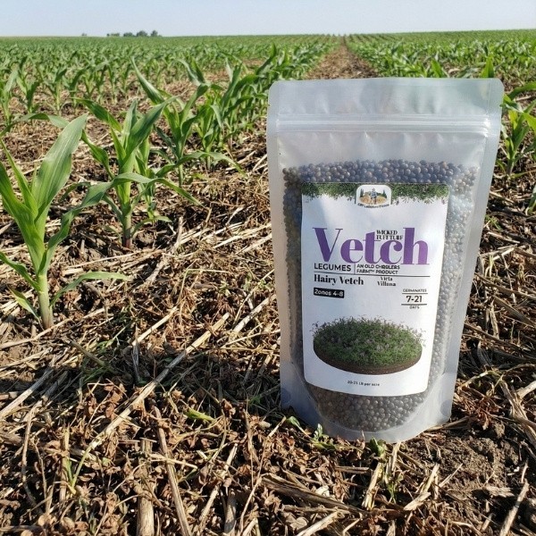 Old Cobblers Farm™ Wicked Tuff Turf Hairy Vetch Seeds – Cover Crop, Soil Builder