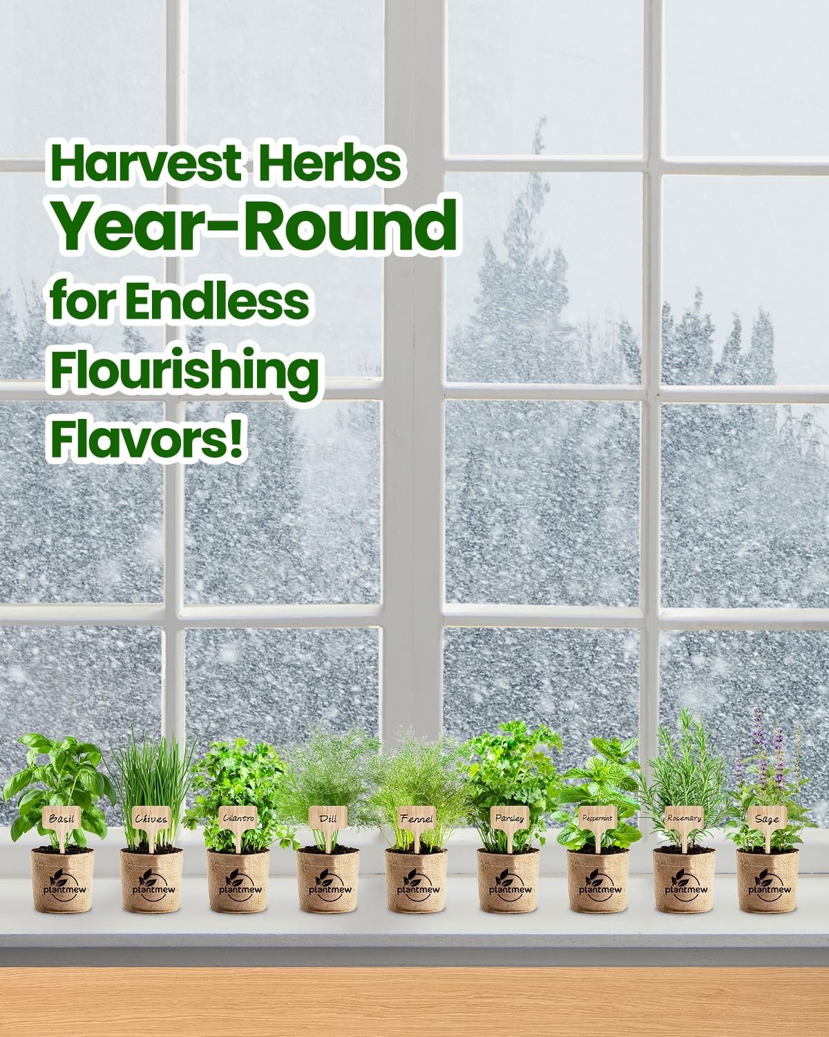 Indoor Herb Garden Kit – 9 Heirloom Seeds, Pots, Soil & Tools – Perfect Gift for