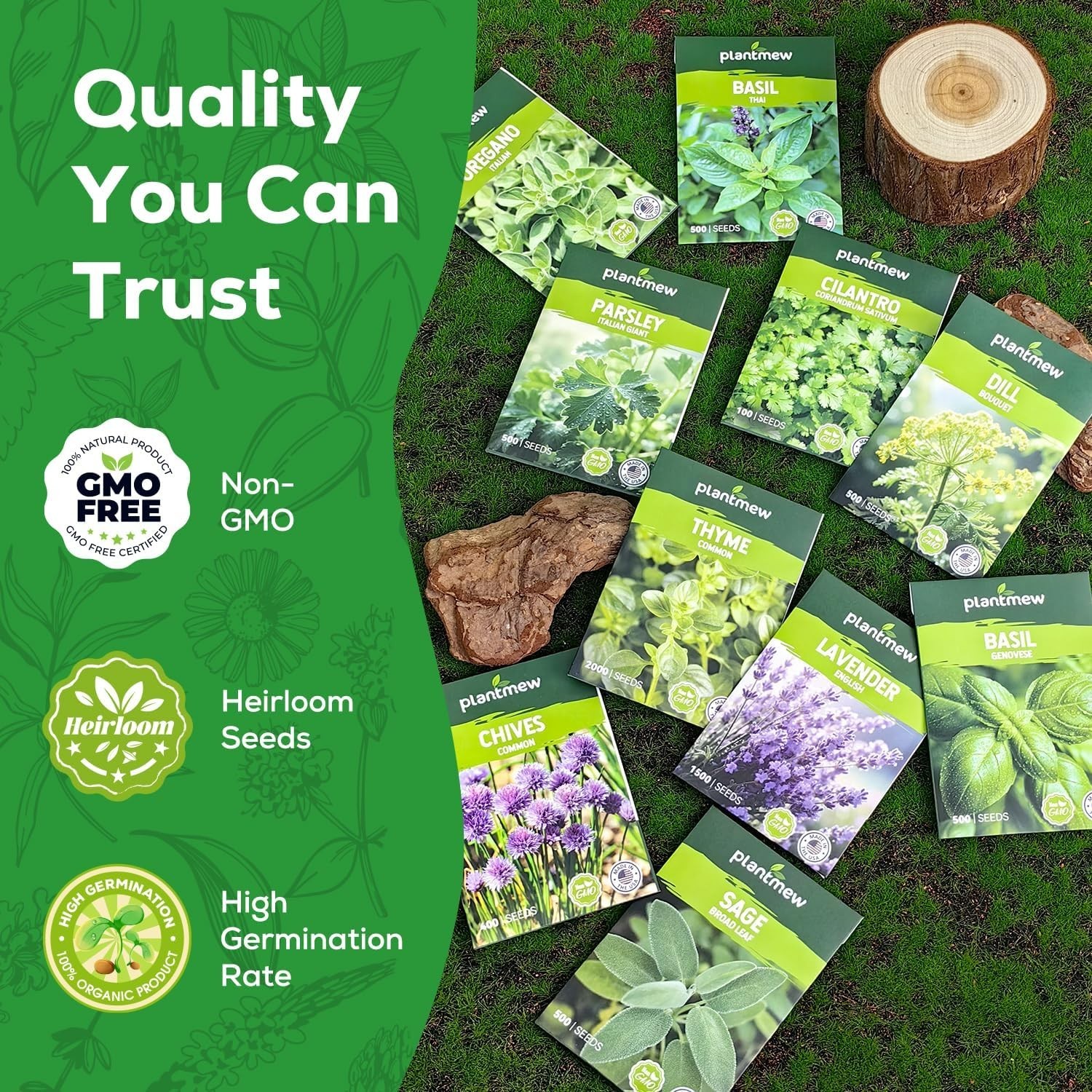Assorted Non-GMO Herb Seed Pack – 10 Heirloom Varieties for Gardening