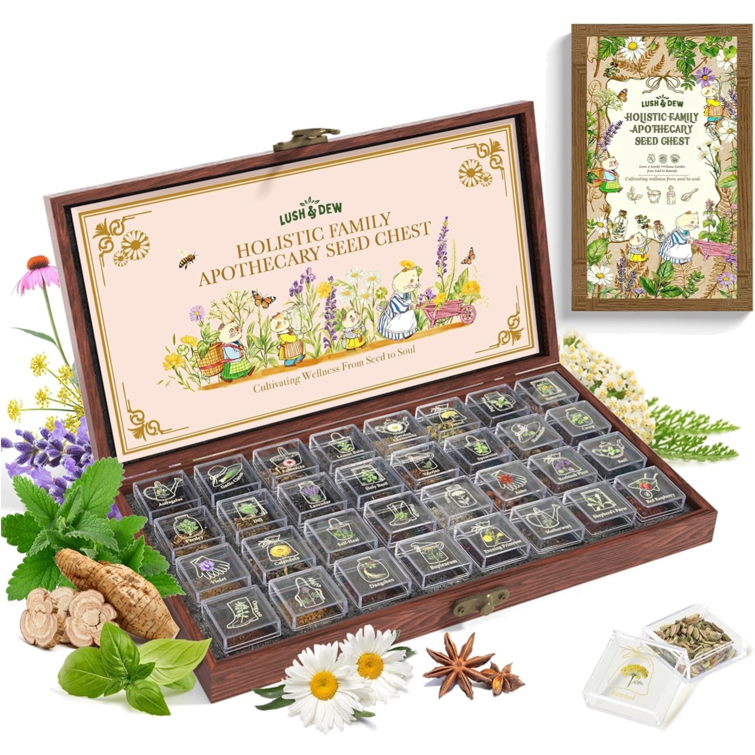 Holistic Family Apothecary Seed Chest, 30,000+ Medicinal Herb Survival Seed K…