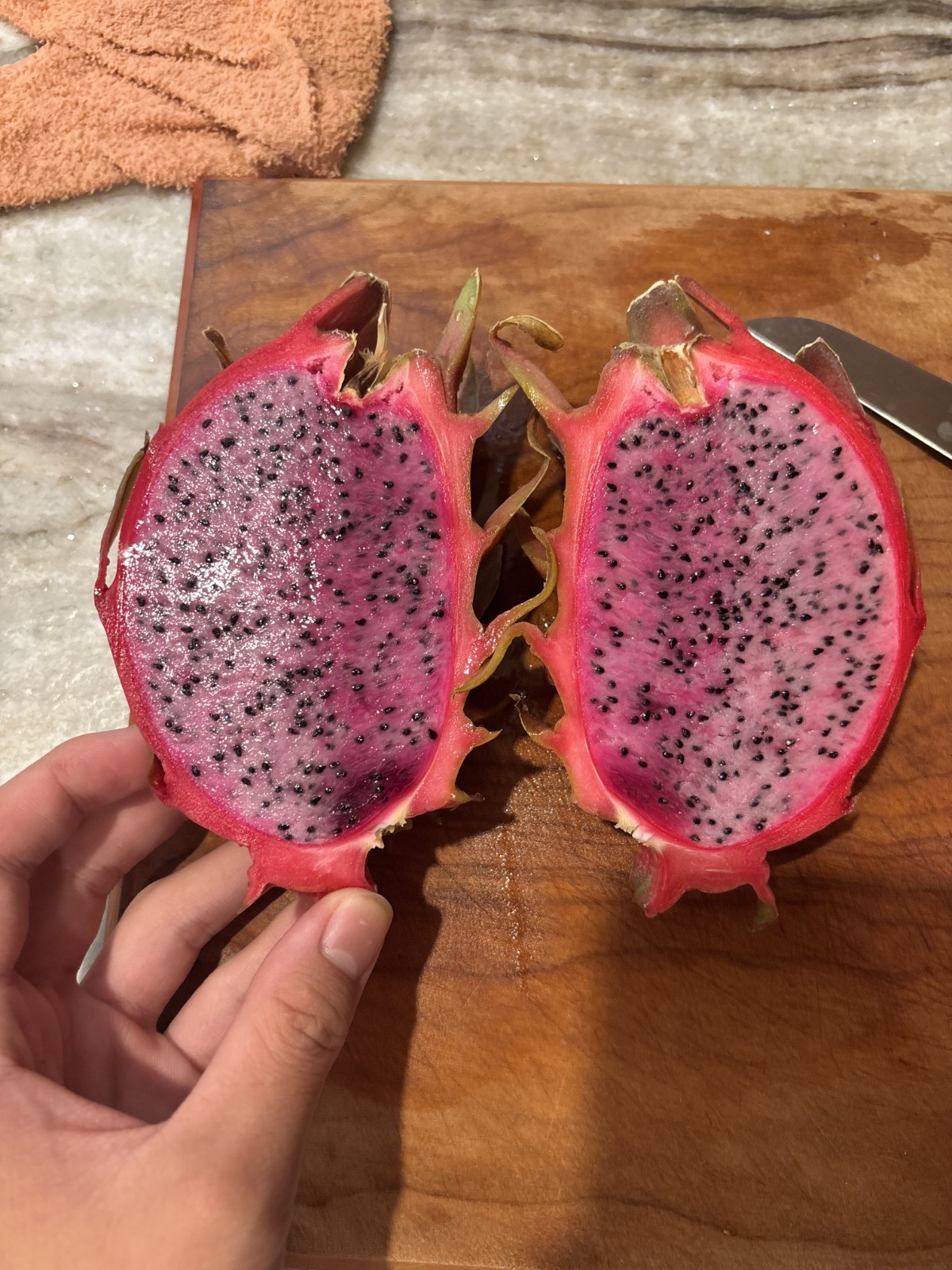 Hybrid Dragonfruit Seed – Physical Graffiti X Selenicereus Pteranthus 10x