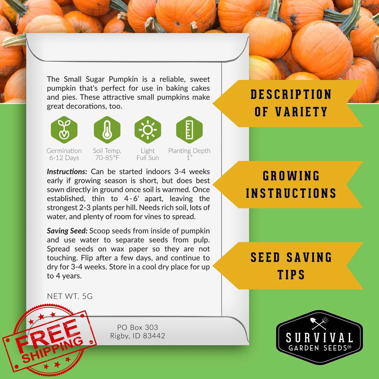 Small Sugar Pumpkin Seeds for Planting – Heirloom Sugar Pie Pumpkins, Sweet B…