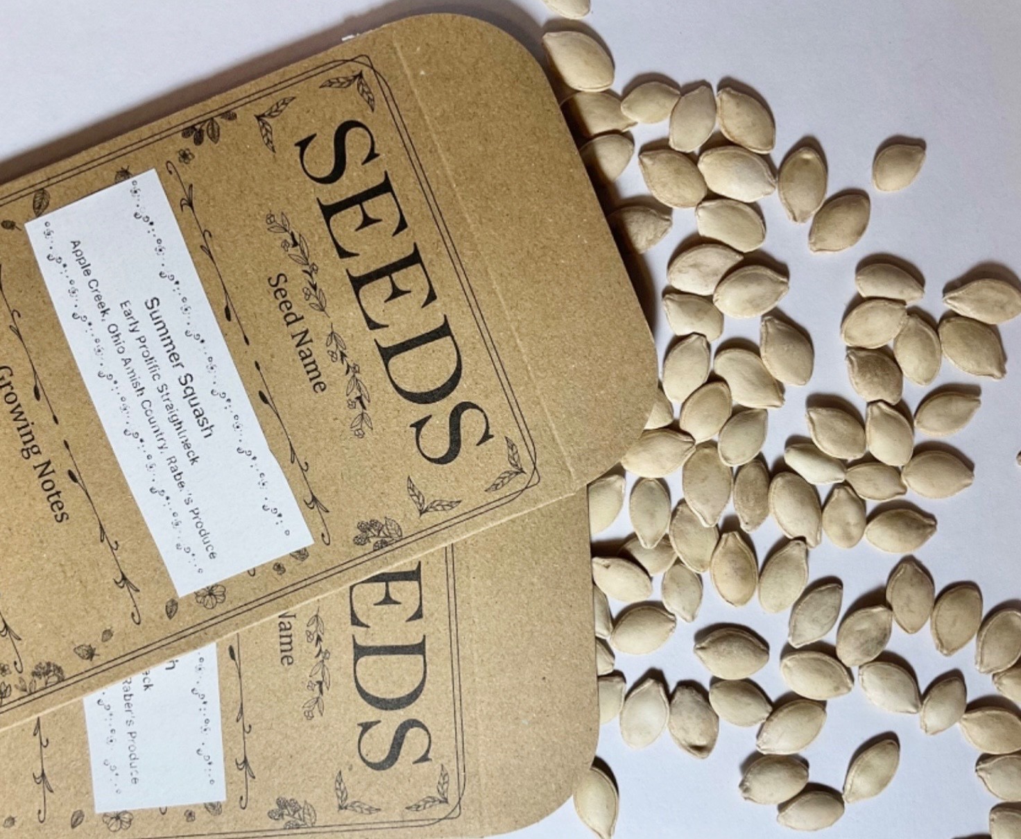 Fresh Organic Early Prolific Straightneck Yellow Summer Squash Seeds, 2026 🇺🇸
